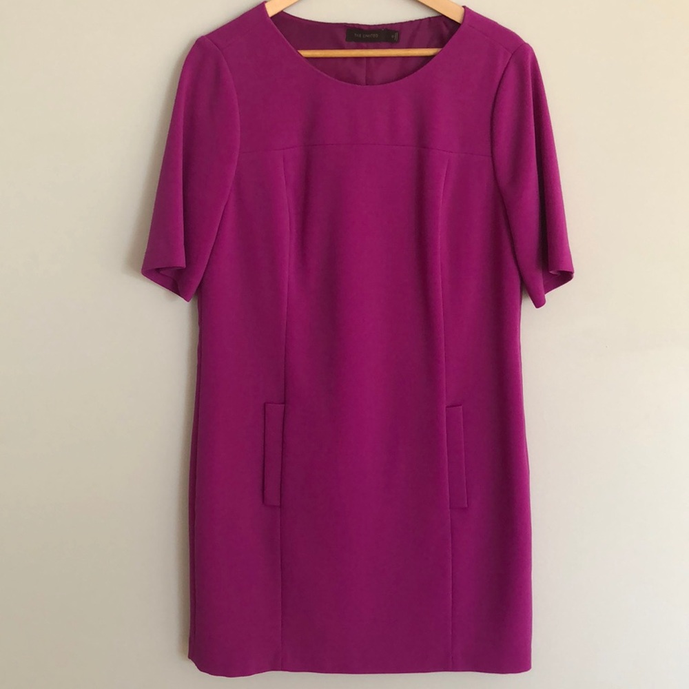 The Limited Dress